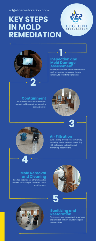 Key Steps in Mold Restoration