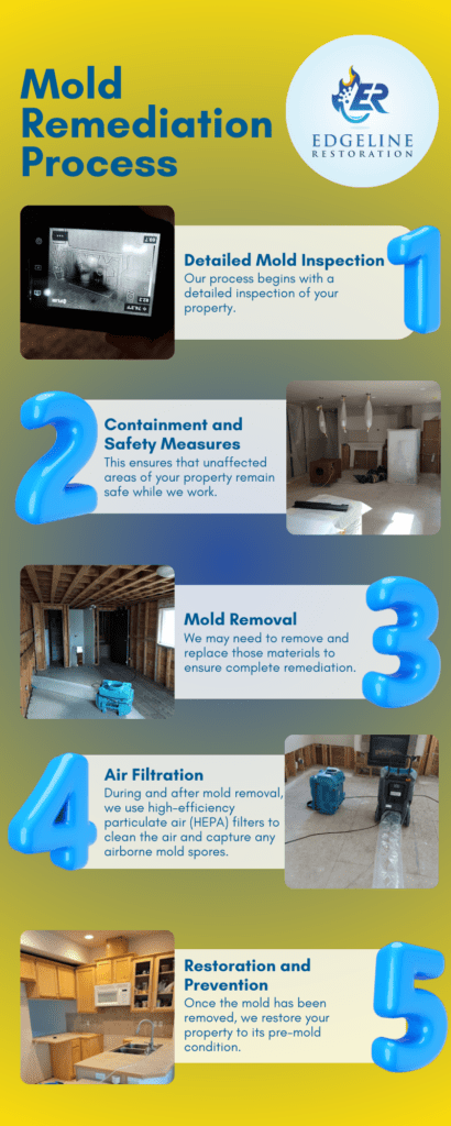 Our Mold Remediation Process