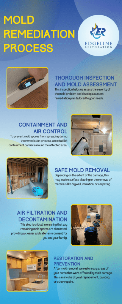 Mold Remediation Process Lake Stevens