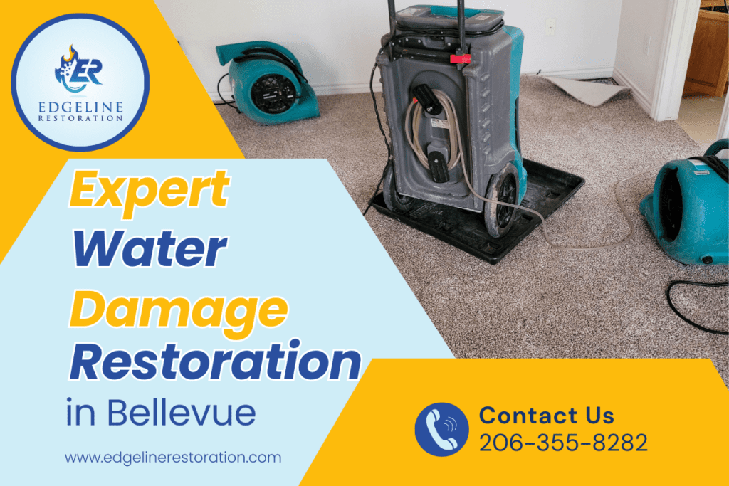 Expert Water Damage Restoration in Bellevue